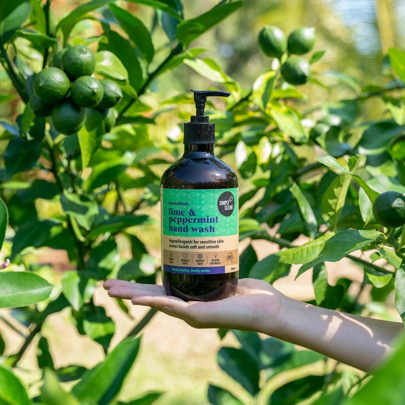 Lime & Peppermint Hand Wash 15 Litres Bulk.